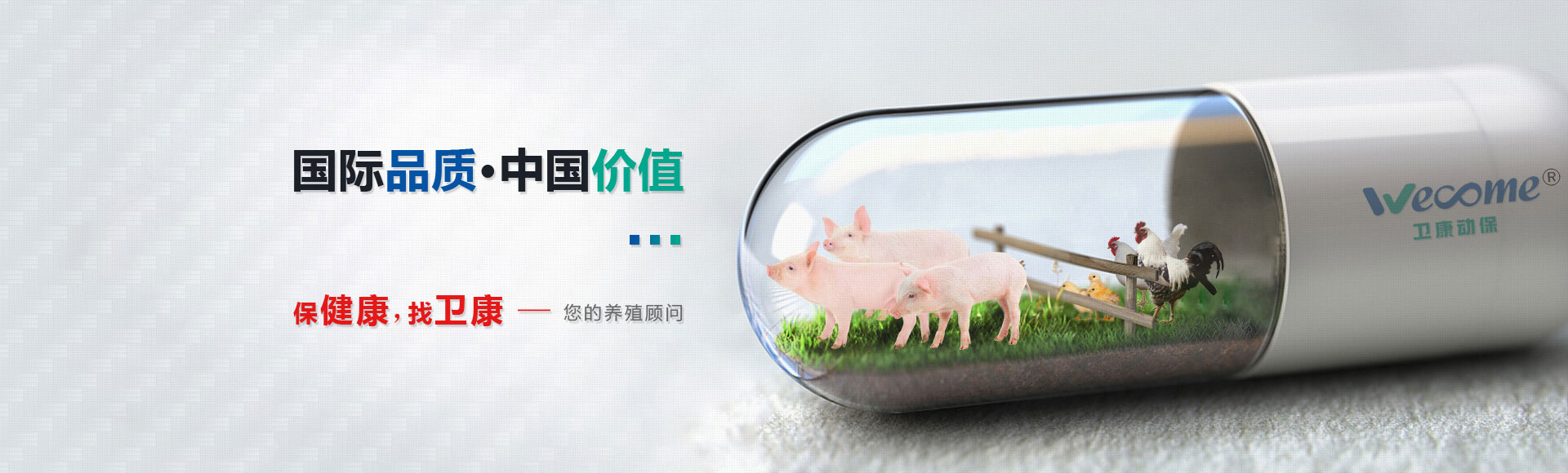 新聞動(dòng)態(tài)